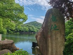 -白马涧龙池景区