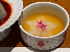 -觀芷隐轩