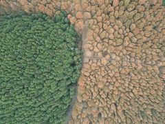 -山王坪喀斯特国家生态公园