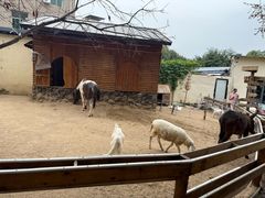 -HERRE·FARM 赫尔露营农场·团建聚会包场