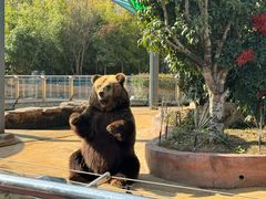 -南京金牛湖风景区