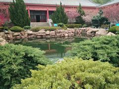 -石岛赤山风景区