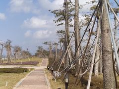 -芒洲湿地公园