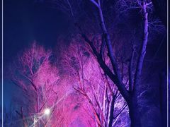 -人民防洪胜利纪念塔