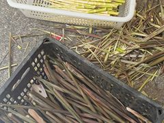 -旺山·浪头人家