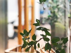 -夏羽记甜品(小榄大信店)