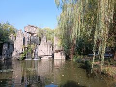 -溱湖国家湿地公园