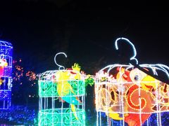 -飞凤山奥体公园