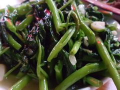 -东吴霸王兔(松青路店)