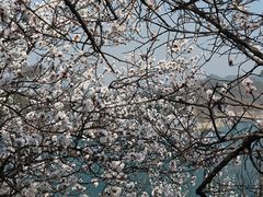 -北京金海湖景区