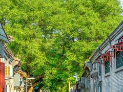 -北京国子监胡同
