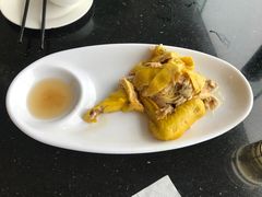 -云中小雅