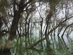 -捞渔河湿地公园
