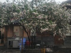 -百花人家(清水镇店)