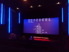 -奥斯卡升龙国际影城(RealD Cinema)