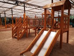 -南宫五洲植物乐园