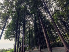 -云龙湖旅游景区