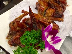 -鸽鸟轩(石岐店)