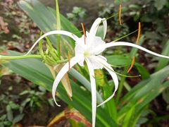 -水濂山森林公园