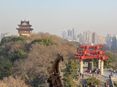 -黄鹤楼公园(黄鹤楼)