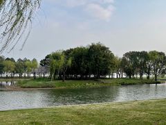 -无锡蠡湖国家湿地公园-蠡园