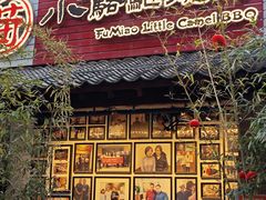 -福苗小骆驼烧烤(莲湖路店)