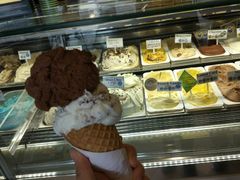 -Dooley's Premium Ice Cream