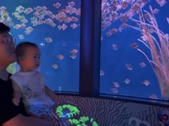 -沈阳海洋探索中心