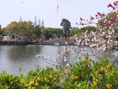 -无锡蠡湖国家湿地公园-蠡园