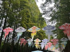 -日照海滨国家森林公园
