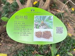 -广州神农草堂中医药博物馆