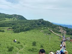 -白草畔自然风景区