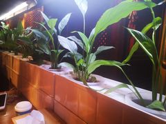 -望京一号·重庆江湖菜(工体店)