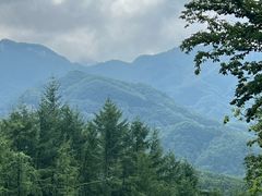 -洛阳白云山景区