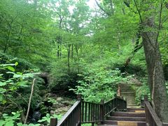 -天女山森林公园