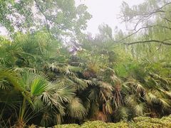 -洛阳龙门海洋馆