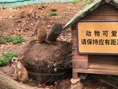 -无锡动物园·太湖欢乐园