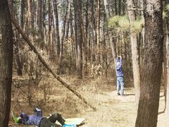 -帽儿山国家森林公园