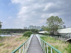 -哈尔滨大剧院