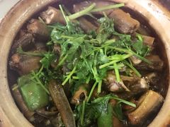 鳝碌煲-联兴酒家
