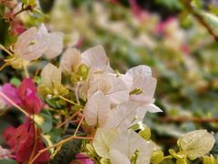 -广州市紫泥堂文化创意园景区
