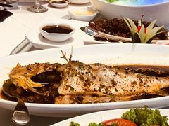 -骏莱海鲜鱼港(五角场店)