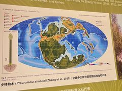 -辽宁古生物博物馆