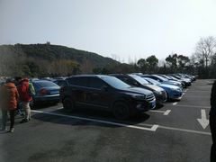 -上海佘山国家森林公园东门地面停车场