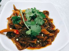 酸辣海笋-新粤新疆菜清真餐厅(拱北店)