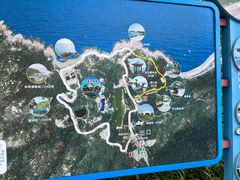 -广东惠东海龟国家级自然保护区