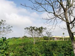 -侯臣咖啡文化村