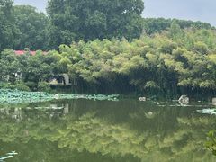 -河南省黄河迎宾馆