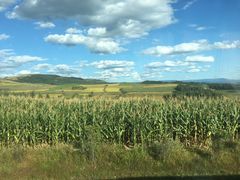 -长白山吉祥物天池水怪专卖