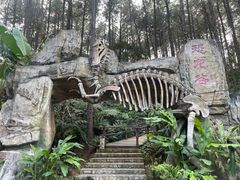 -森波拉奇妙世界
